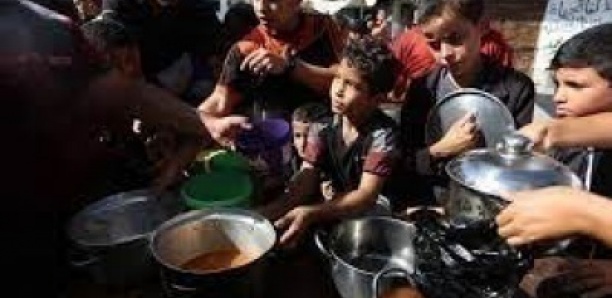 Des enfants de Gaza à la recherche de nourriture pour maintenir la vie de leurs familles