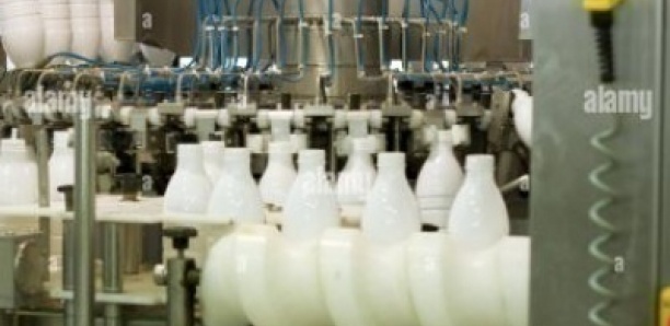Rufisque /Keur NDIAYE Lo: l’Usine Lait Sardi attaquée par 5 malfrats qui blessent le gardien et emportent une forte somme d’argent
