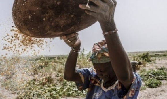 Crise Alimentaire Du Sénégal : Six Départements Dans Le Rouge