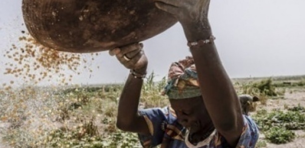 Crise alimentaire du Sénégal : six départements dans le rouge