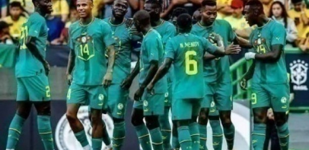 Equipe Nationale : Les Lions joueront l’Irlande en amical, en juin
