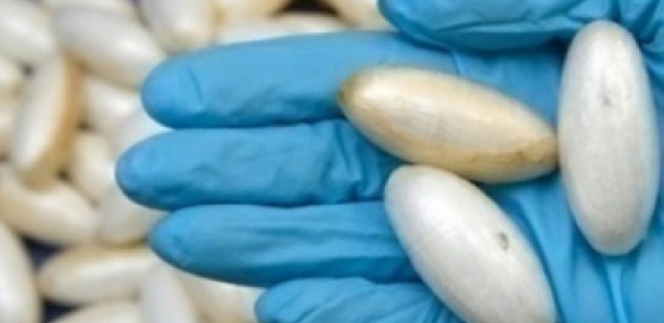 Trafic de drogue: une mule nigériane arrêtée avec 22 boulettes de cocaïne