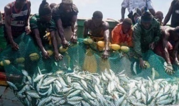 Pêche, Gta, échanges Commerciaux… : Ces Accords Que Diomaye Et El-ghazaouani Vont Passer En Revue