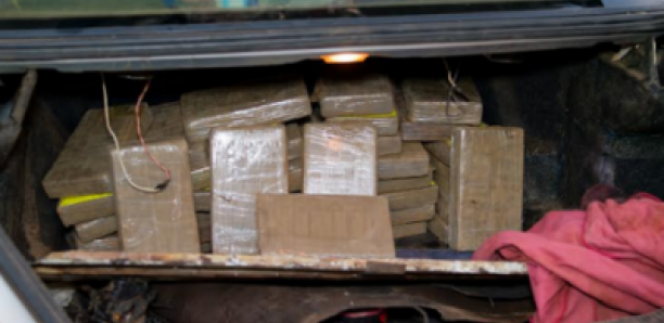 Douanes : 91,84 kg de cocaïne interceptés sur l'axe Tambacounda-Koumpentoum… le récit de la saisie