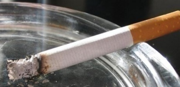 8 millions de décès par an dans le monde : Plaidoyer pour une révision de la loi anti-tabac