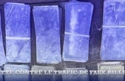 Actualites
