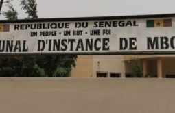 Actualites
