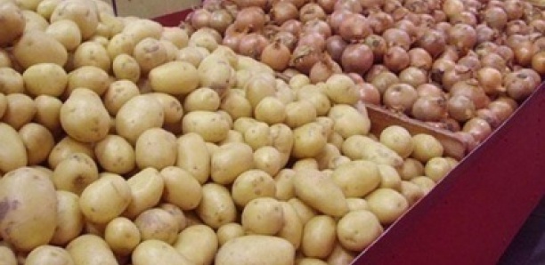 Vente de l’oignon et de la Pomme de terre: L’Etat met en place un fond d’écoulement des produits Horticoles