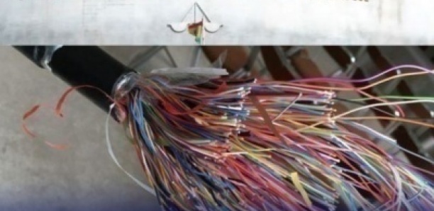 Un câble à 13 millions bradé à 50 000 FCfa : la chute absurde de quatre techniciens
