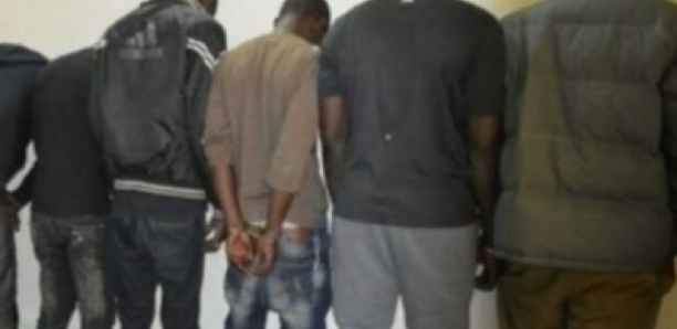 Drogues saisies à Ouakam : trois (3) individus interpellés par l’OCTRIS