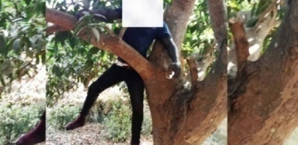 Kafountine : Un Sierra-Léonais se suicide par pendaison