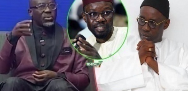 « Tais-toi, petit Sonko » : Cheikh Yérim Seck corrige Samuel Sarr « Kilifeu kén dou… »