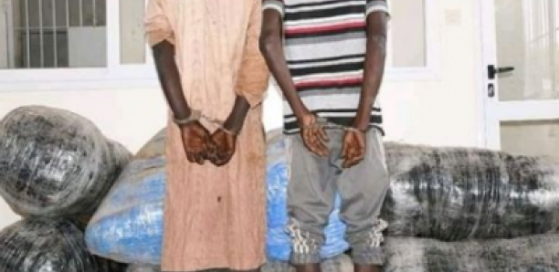 Grand-Médine: Abdou A. Thiam arrêté avec un sac d’oranges où une quantité importante de drogue était cachée…