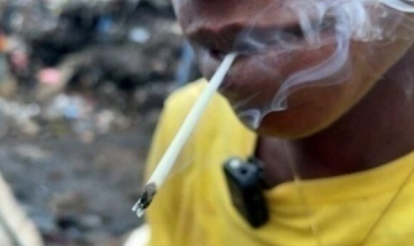 Drogue Kush : Au Moins 38 Morts En Guinée Depuis Le Début De L’année