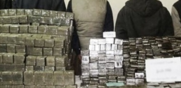 Trafic de cocaïne : bande à «Scarface», les rôles étaient bien répartis