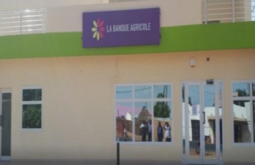 Actualites