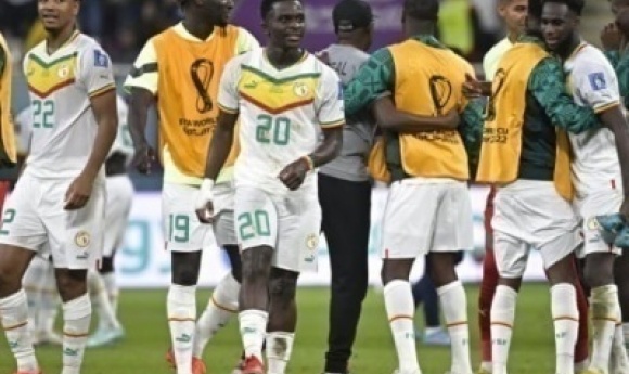 Saly : Un Lion Champion D’afrique Perd 135 Millions F Cfa Dans Deux Projets En Toc, Son Homme De Confiance Arrêté
