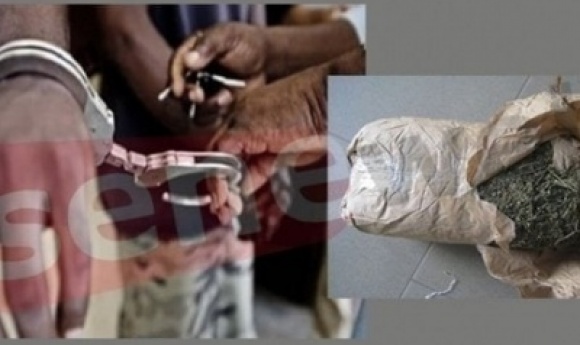 Diamaguene : Un « Gendarme » De L’anti-drogue Arrêté Pour Usage De Chanvre Indien