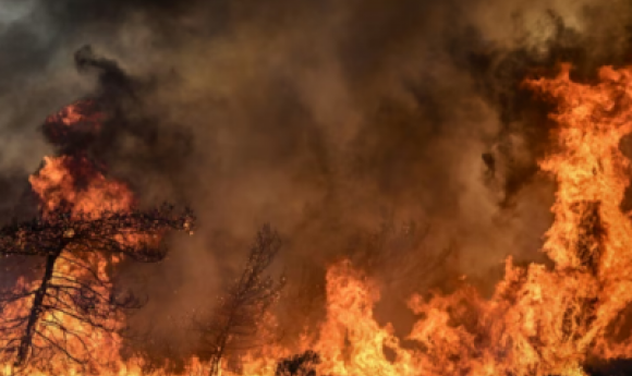 Incendie Volontaire à Mbane: Une Case Détruite Et Des Installations électriques Endommagées, L’auteur Présumé En Fuite