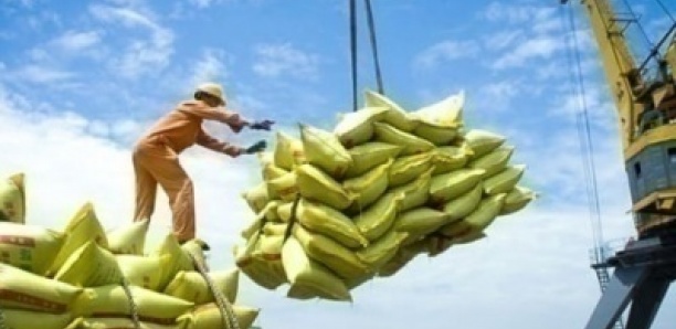 Importation de riz : 40 milliards F CFA d’opérations suspectes tracés, des hommes d’affaires indiens éclaboussés