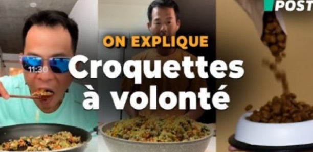 Pour bien manger, cet influenceur américain invente l’étrange recette des « croquettes pour humain »