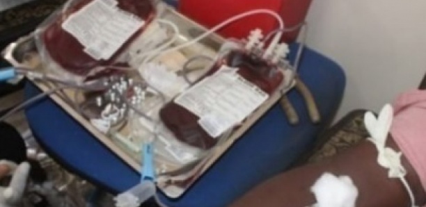 Don de sang : pourquoi les groupes «négatif» sont les plus recherchés par le Centre national de transfusion sanguine