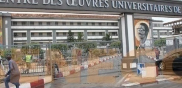 Réunion biannuelle de l'African Economic Research Consortium : Le Recteur de l’UCAD aborde la question du dividende démographique devant des chercheurs et décideurs africains