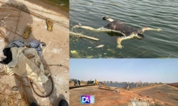 Touba - Mystère Autour D'une Mort : Le Corps D'un Homme Retrouvé Dans Un Bassin à Darou Rahmane