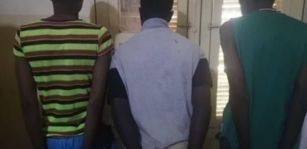Nuit sanglante à Arafat : trois suspects dans le meurtre de l’infirmier arrêtés