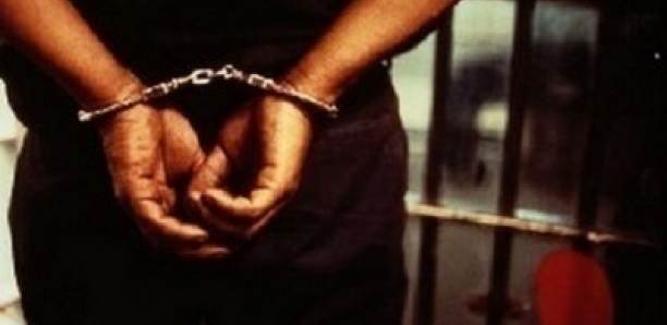 Trafic international de drogue : l’OCRTIS démantèle un réseau entre la Californie et le Sénégal, trois (3) individus arrêtés