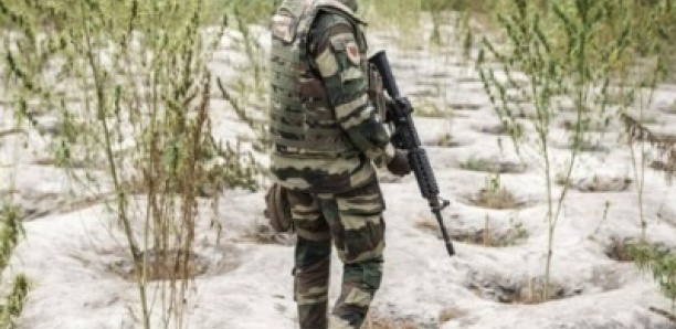 « Il se porte très bien » : des nouvelles du soldat pris en otage par le MFDC