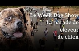 Actualites