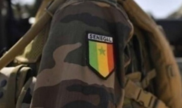 Usurpation D’identité : Un Faux émissaire Du Cemga Piège Des Investisseurs Turcs