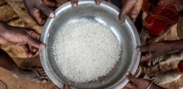 Crise alimentaire : neuf régions du Sénégal touchées