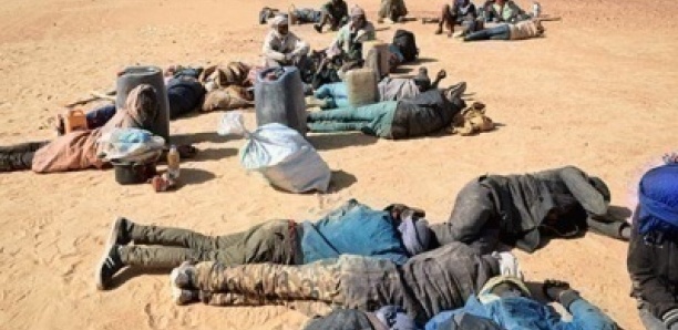Expulsés par l’Algérie, 115 Sénégalais en galère dans le désert nigérien