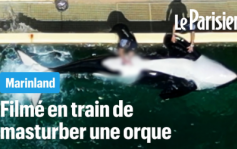 Buzz Jour
