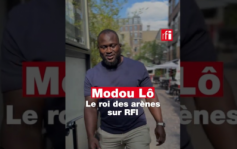 Buzz Jour