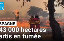 Actualites