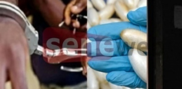 Chute du «baron de Thiadiaye» : le trafic de drogue nourrit le dealer, ses trois épouses et ses… 31 enfants