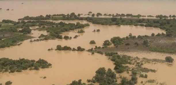 Crues dans la vallée du fleuve Sénégal : 600 milliards F CFA de dégâts