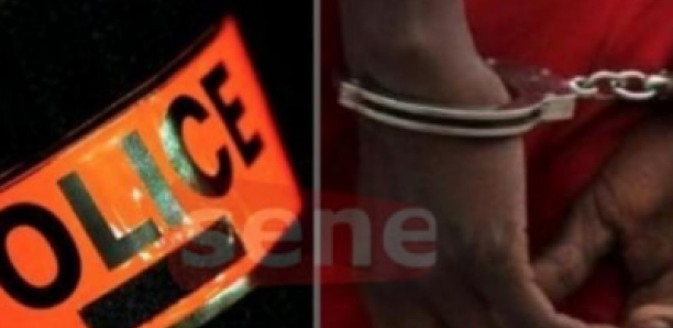 Mbour : le film de la chute de A. Diallo, jeune femme de 24 ans, redoutable cheffe d’un gang de voleurs de bétail