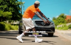Les Pas De Danse De Ngaka Blindé Mbaye Leumbé