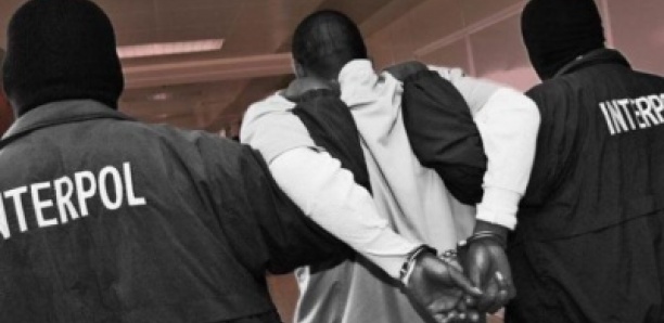 CRIME ORGANISÉ – Des sénégalais, gambiens et français arrêtés par Interpol !