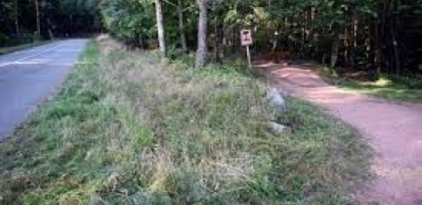France : un prof de maths exécuté par balles en pleine forêt