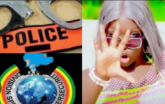 Diffusion D’un Clip Jugé Indécent : Le Réalisateur De Bibiche Condamné Avec Sursis