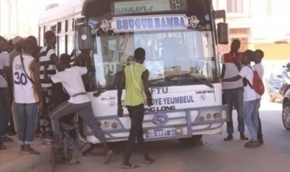 Bus Tata 53 : Un Passager Interpellé Pour Comportement Obscène
