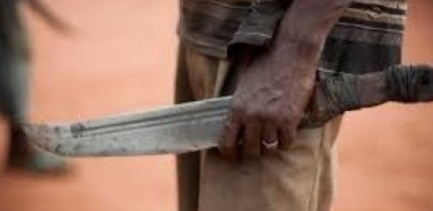 Mboro : un agriculteur attaqué à la machette par des bergers