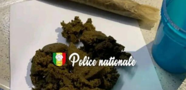 Saint-Louis : Interpellation de quatre individus pour détention de haschich