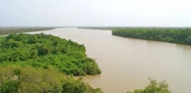 Bassin du fleuve Gambie : une tendance générale à la baisse malgré des hausses ponctuelles