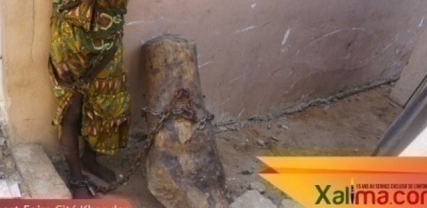 Horreur à Ouest foire : une déficiente mentale enchaînée à un tronc d'arbre